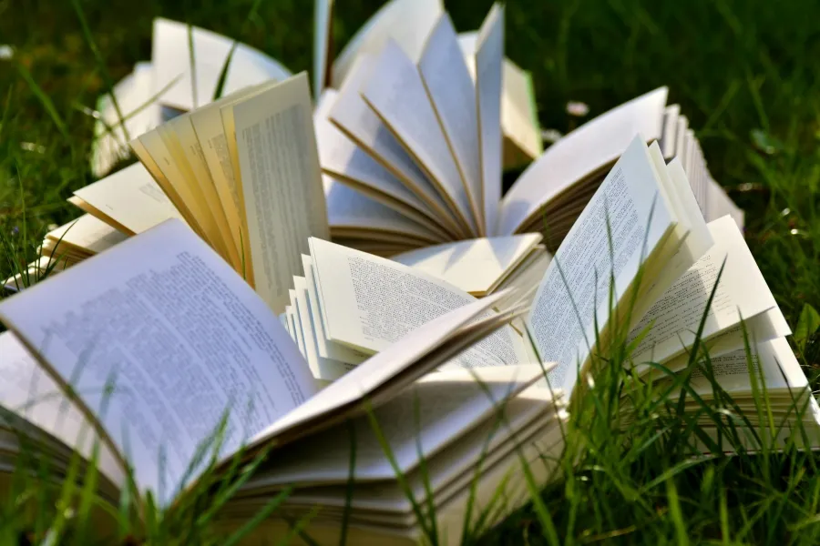 Дитячі книги зарубіжних авторів: Знайомство з іншими країнами