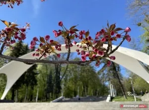 ТОП-7 найкращих місць для відпочинку у Вінниці: куди піти на вихідних