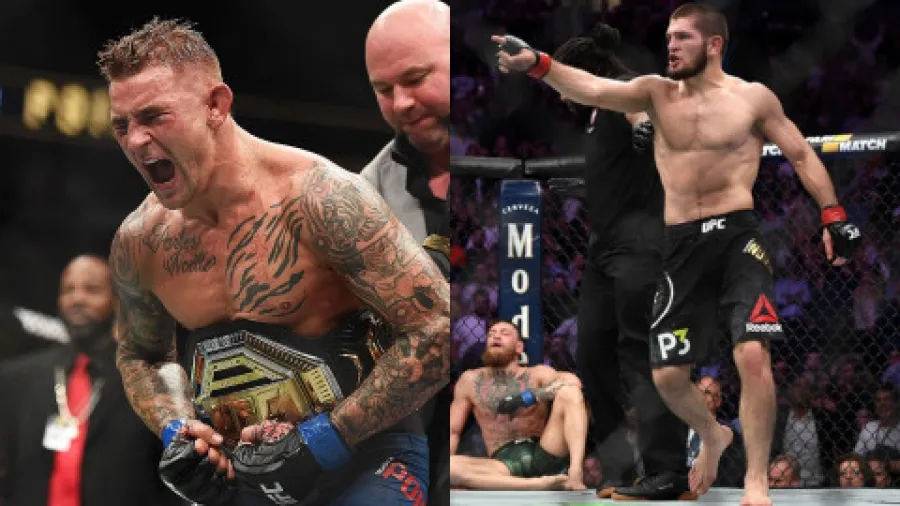 Как сделать ставку на UFC?
