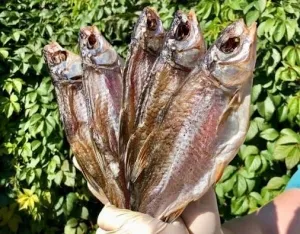 Риба до пива у Вінниці - від тараньки до королівського смугастика