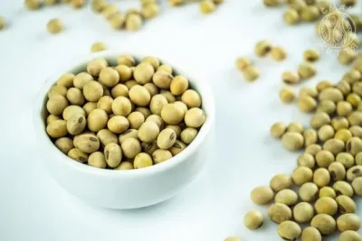 Продукты для веганов: где можно купить недорого?