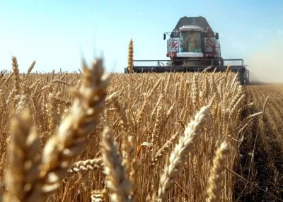 Як експортувати сільськогосподарську продукцію?