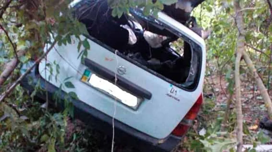 Нетверезий водій на Вінниччині влетів у гущавину та вбив людину, двох покалічив