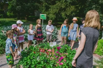 В суботу у Вінниці відзначатимуть свято врожаю