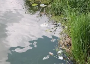 На Вінницьких Хуторах втопився чоловік