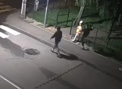 Вночі у Вінниці хлопці ламали іграшки «Рошен», викорчували дерево і трощили дорожні знаки (Відео)