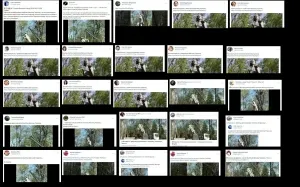У росіян добряче підгоріло коли вони дізналися про демонтаж статуї Горького у Вінниці