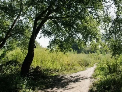 У Вінниці побільшало пам’яток культурної спадщини