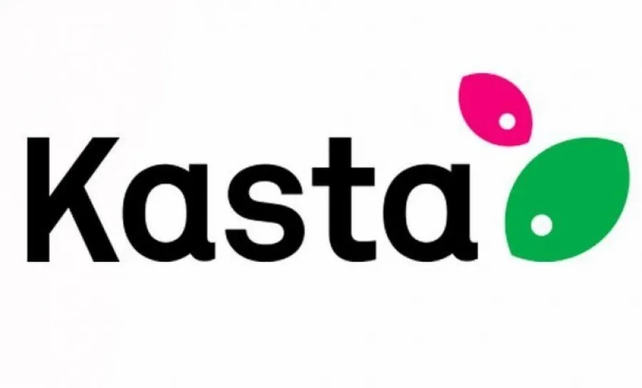 Конкурс студенческих эссе с денежным призом от Kasta.ua