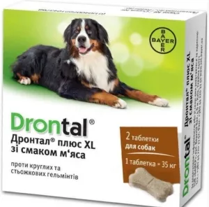 Drontal для собак — ефективний засіб від глистів