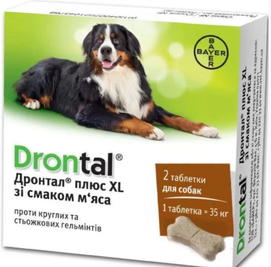 Drontal для собак — ефективний засіб від глистів