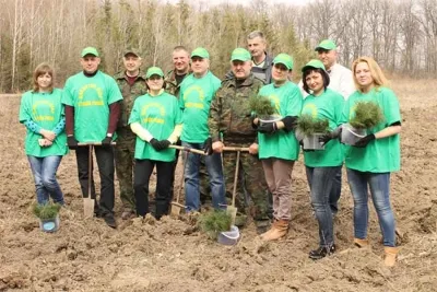 В одному з районів Вінниччини лісівники планують висадити 149 га лісу