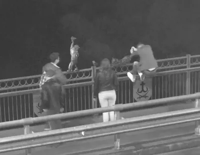 На Київському мосту молодик намагався відірвати металевого кота. Другий випадок за тиждень (Фото)