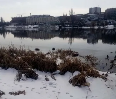 У центрі Вінниці на Південному Бугу побачили «плавучі міни»
